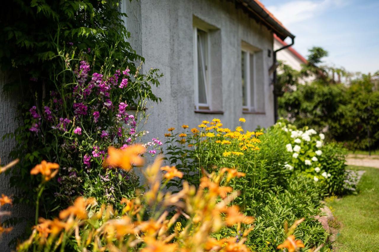 Klimatyzowany apartament w Mrągowie Mrągowo Zewnętrze zdjęcie